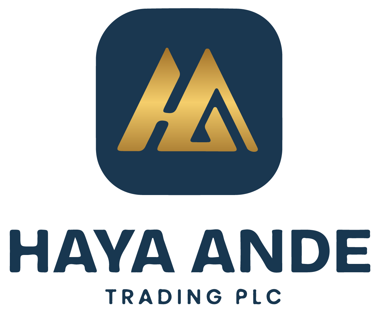 Haya Ande Trading PLC
